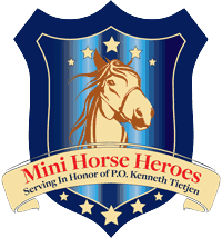 Mini Horse Heroes